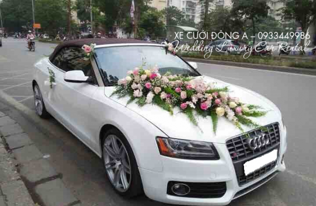 tham-khao-gia-thue-xe-audi