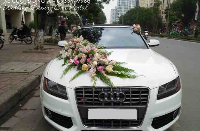 thue-xe-cuoi-audi